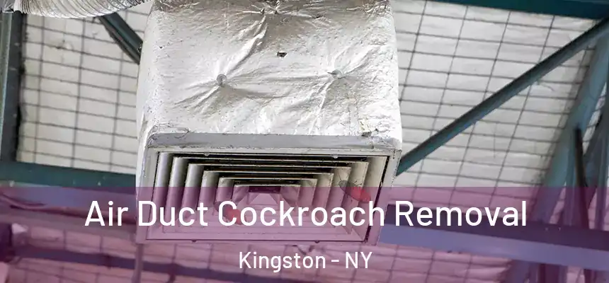  Air Duct Cockroach Removal Kingston - NY