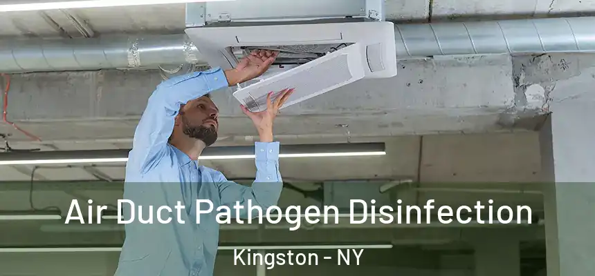Air Duct Pathogen Disinfection Kingston - NY