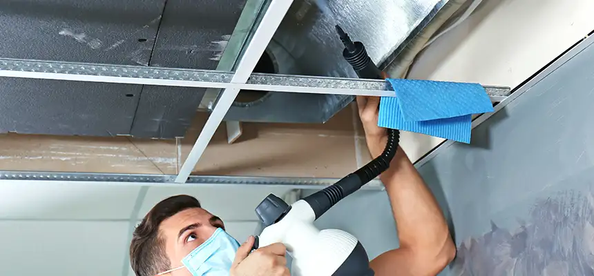 Our Air Duct Rodent Removal Services in Kingston, NY