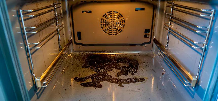 Our Dryer Vent Mold Cleaning Services in Kingston, NY