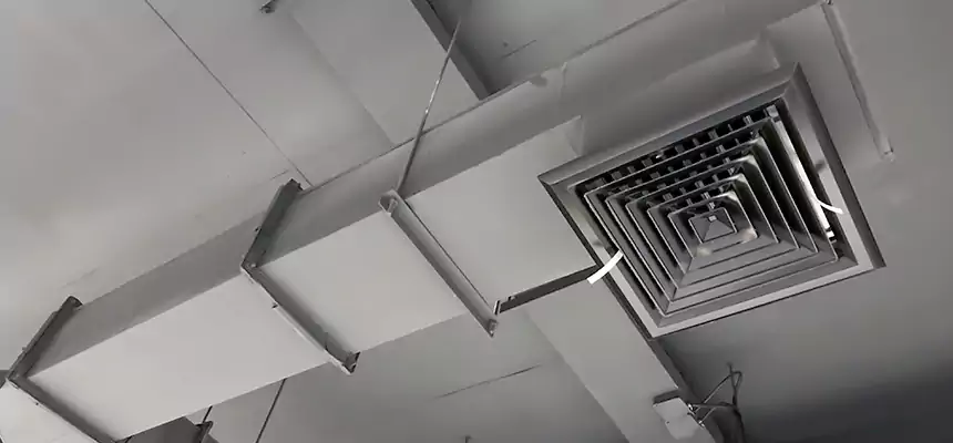 Our Rodent Droppings In Vents Services in Kingston, NY