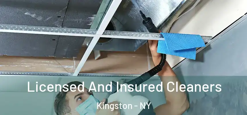  Licensed And Insured Cleaners Kingston - NY