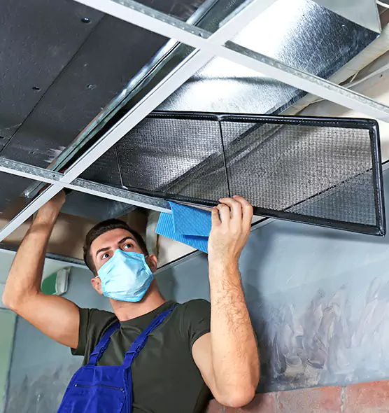 About Air Duct Bacteria Removal in Kingston
