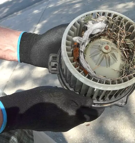 About Air Duct Mice Removal in Kingston, NY