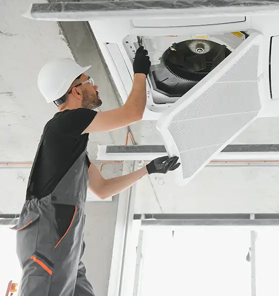 About Air Duct Rodent Removal in Kingston, NY