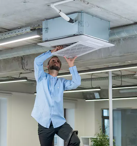 Advanced Rodent Droppings In Vents in Kingston, NY