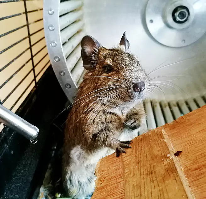 Why Homeowners & Businesses Trust Us Kingston, NY?